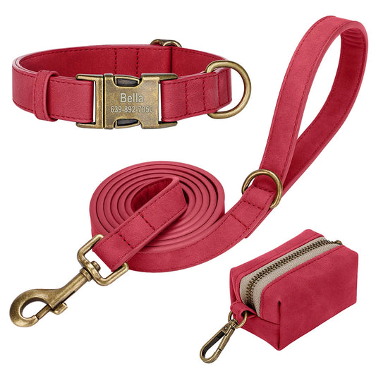 Personalized Dog Leash,Leash & Poop Bag Set