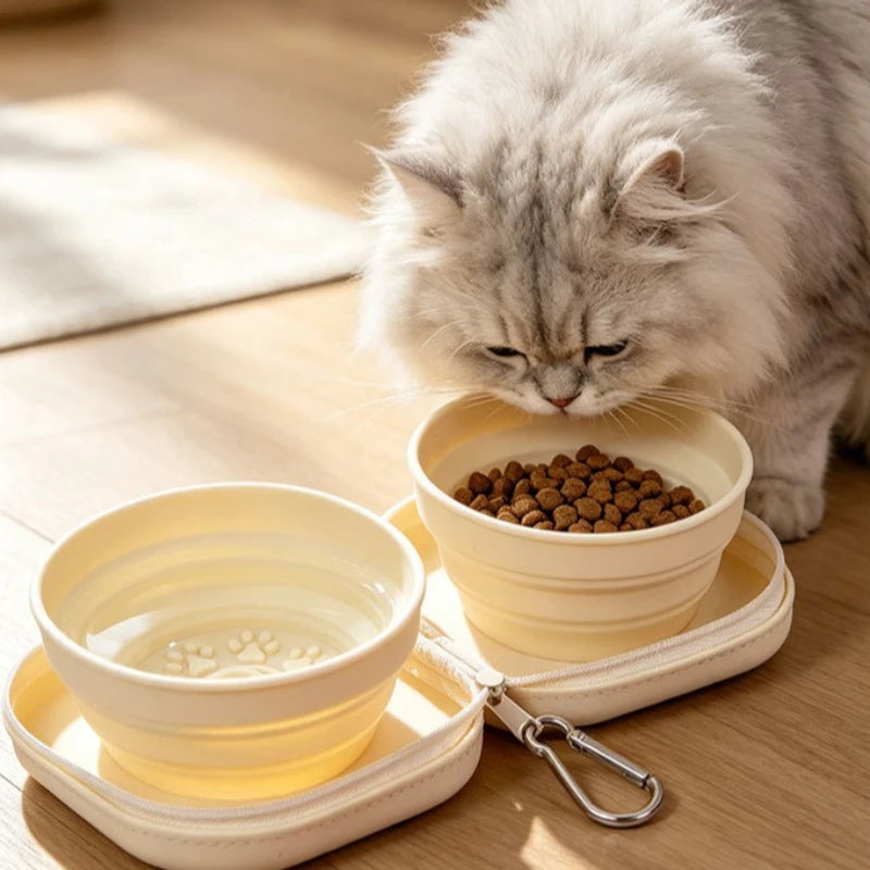 PawPack Portable Double Travel Bowl
