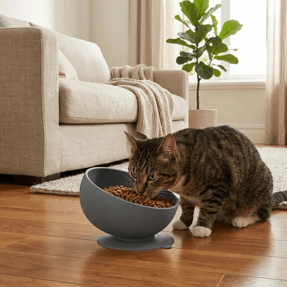 GripBowl Anti-Slip Elevated Pet Bowl