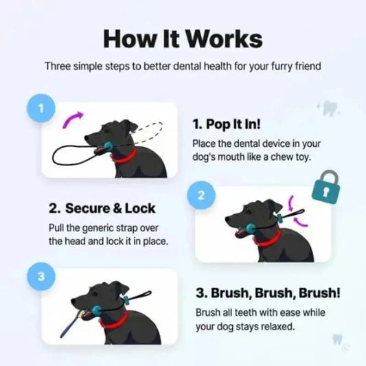 BrushBuddy – Dual-Action Dog Dental Toy