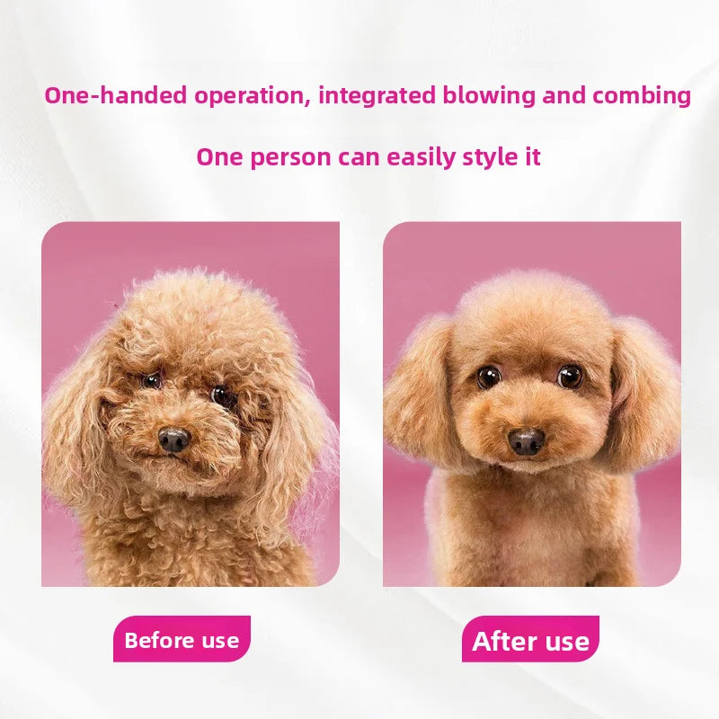 Pet Dryer & Grooming Brush