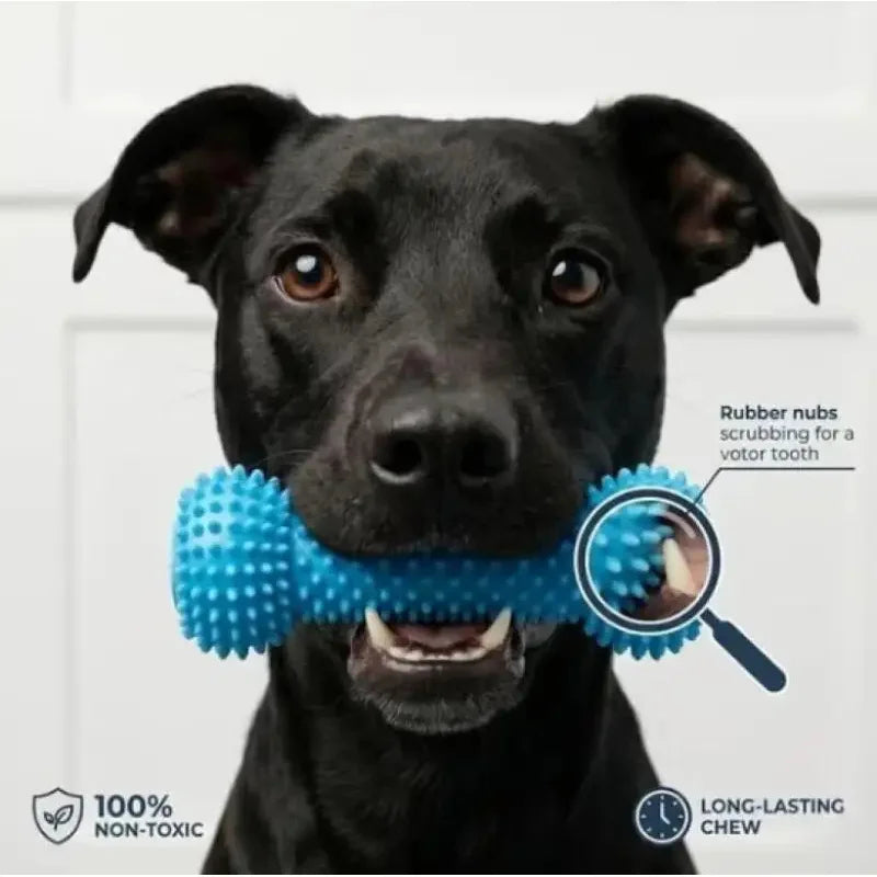 BrushBuddy – Dual-Action Dog Dental Toy