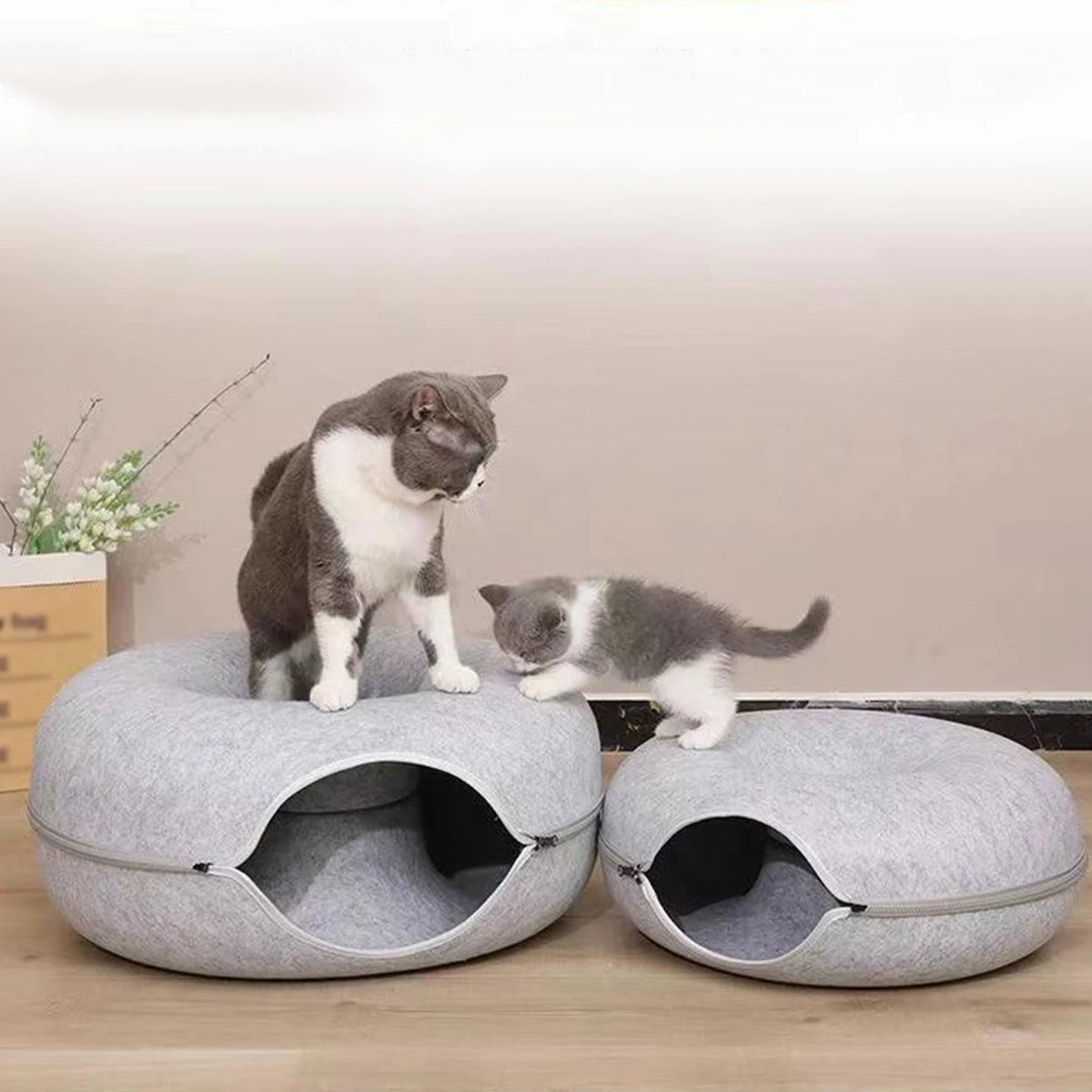 Cozy Interactive Cat Cave