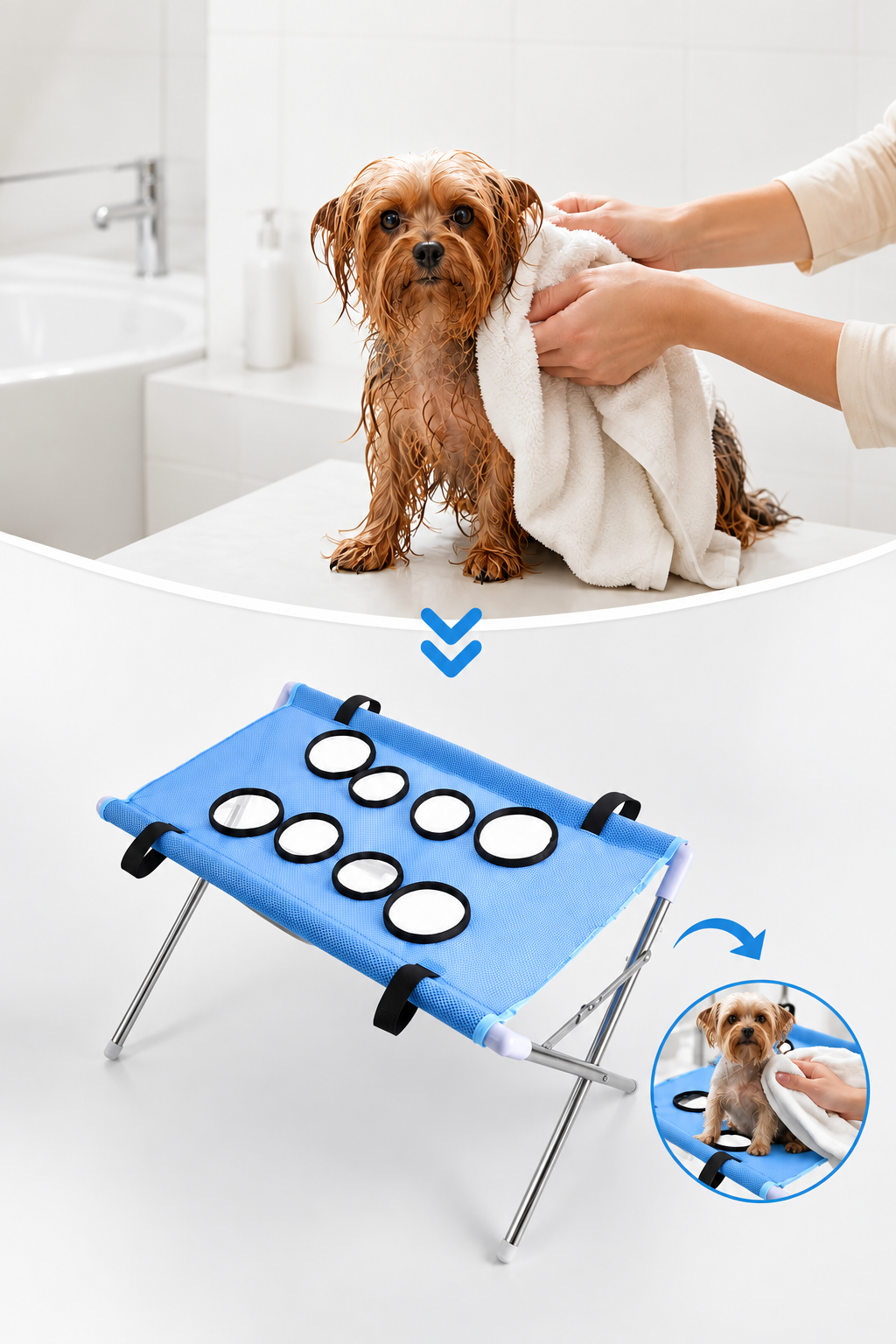 Foldable Pet Grooming & Bathing Stand