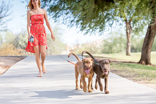 TwinTrek 360 Dog Leash