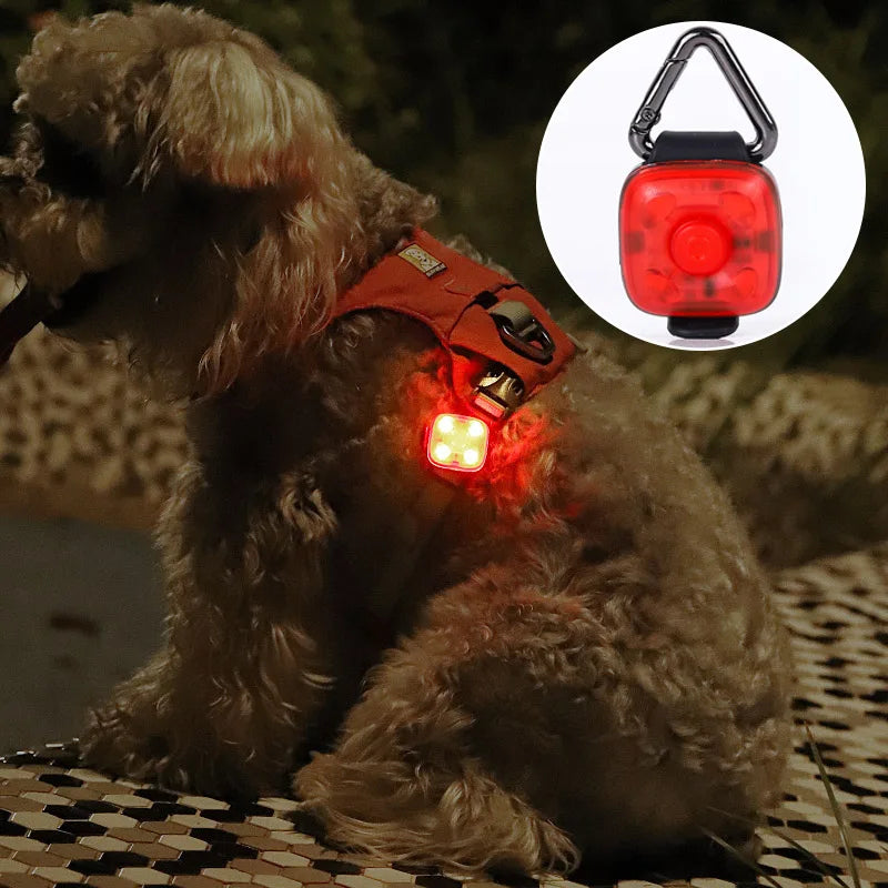 PawGlow – USB Rechargeable LED Pet Collar Light