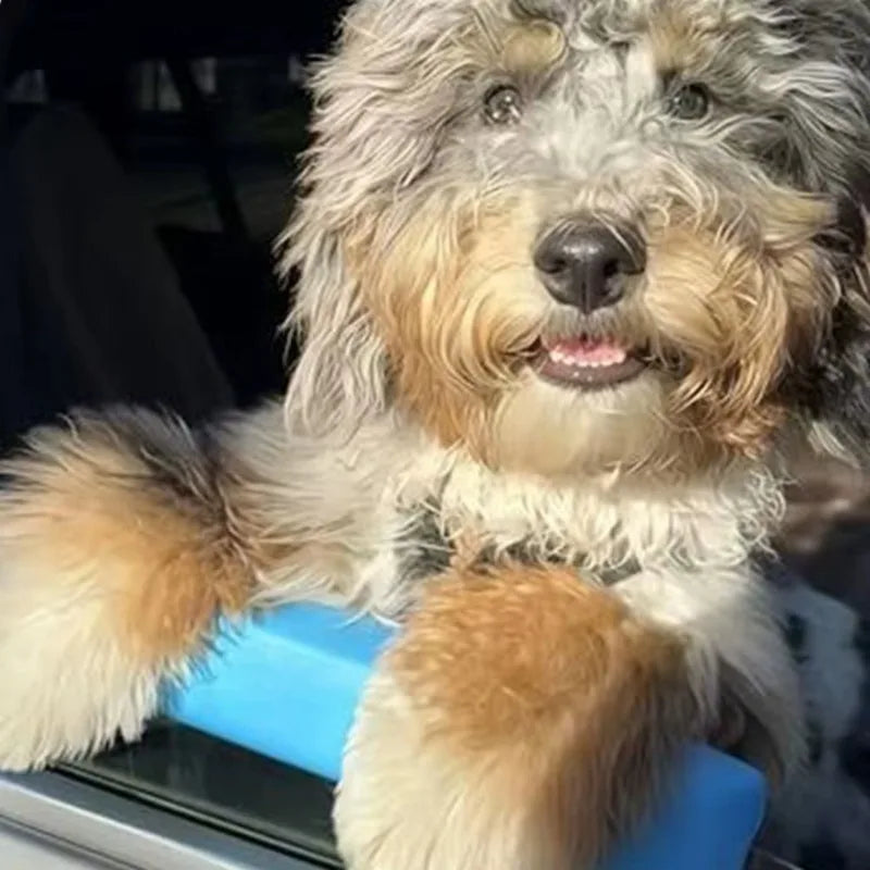 WindowBuddy – Dog Car Window Rest