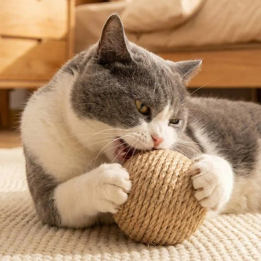 Natural Jute Interactive Cat Scratching Balls