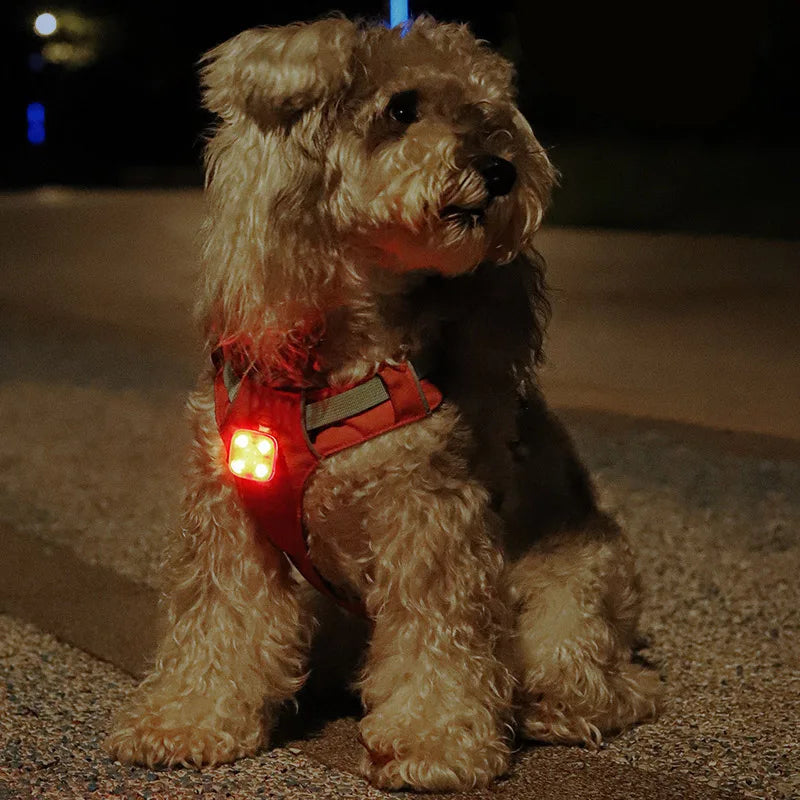 PawGlow – USB Rechargeable LED Pet Collar Light