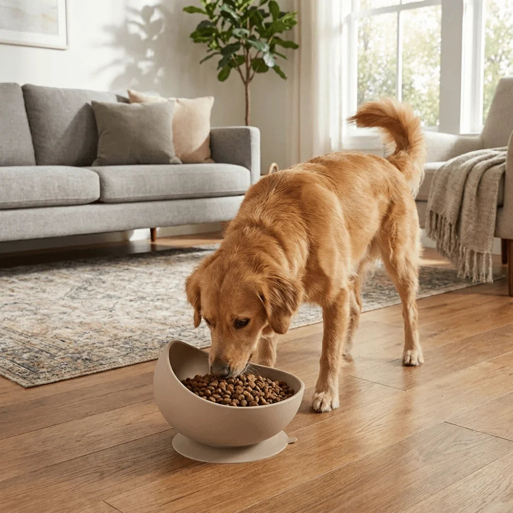 GripBowl Anti-Slip Elevated Pet Bowl