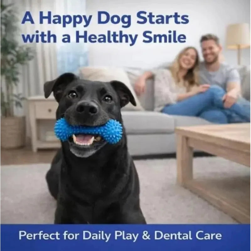 BrushBuddy – Dual-Action Dog Dental Toy