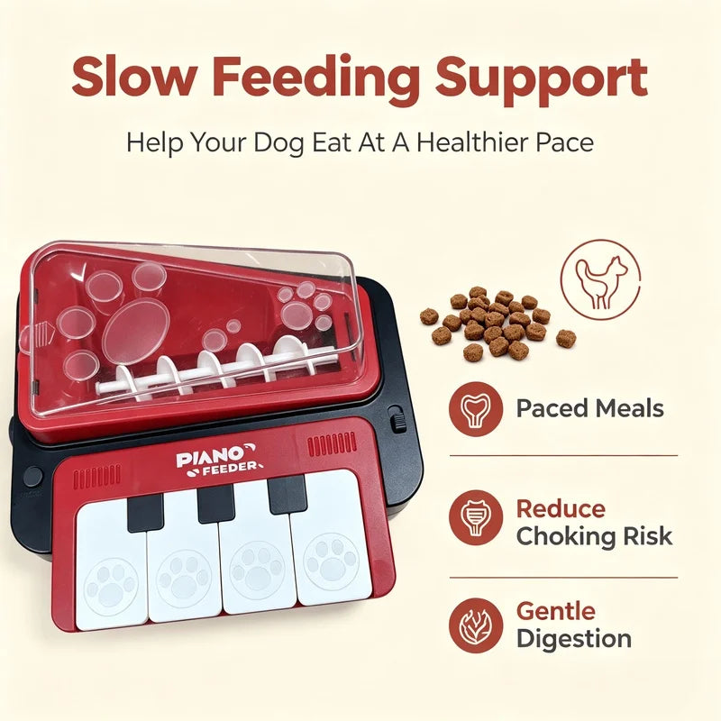 Cutius PawMelody – Musical Piano Treat Dispenser