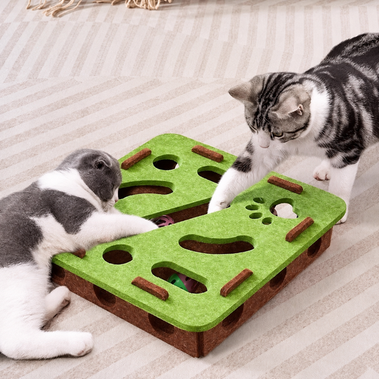 Cat Puzzle Box