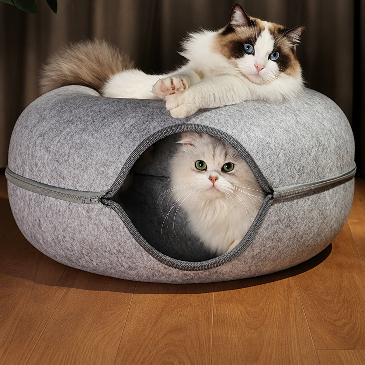 Cozy Interactive Cat Cave